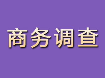 曲靖找私家侦探调查行踪要多少钱？全面了解费用结构与影响因素